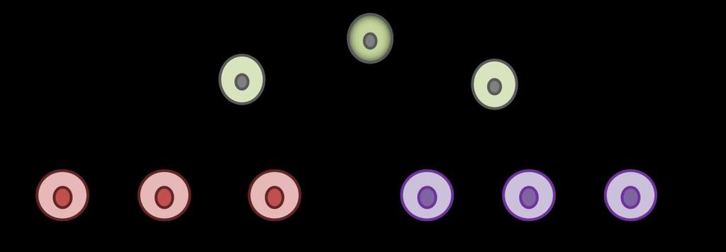 4 ÚVOD Imunitní systém představuje velmi důležitý mechanismus udržující v organismech homeostázu.