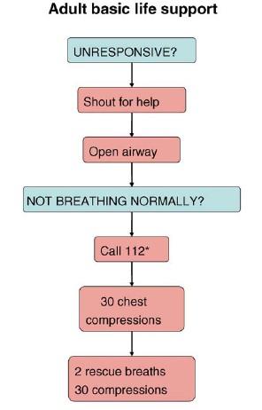 Prekordiální úder Precordial thump úder malíkovou hranou zaťaté pěsti do středu hrudníku není součástí laické resuscitace!