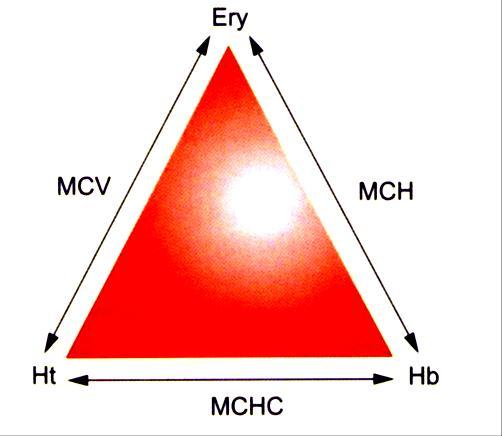 Obr. 1: Schéma výpočtu základních hodnot erytrocytu (DOUBEK et al., 2003). Parametry erytrocytů mají diagnostický význam v rozpoznávání anémií a jiných poruch.