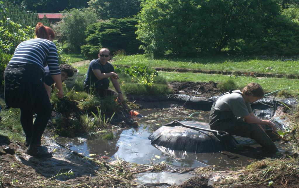 Stav listopad 2015 Přemisťování vodních rostlin při