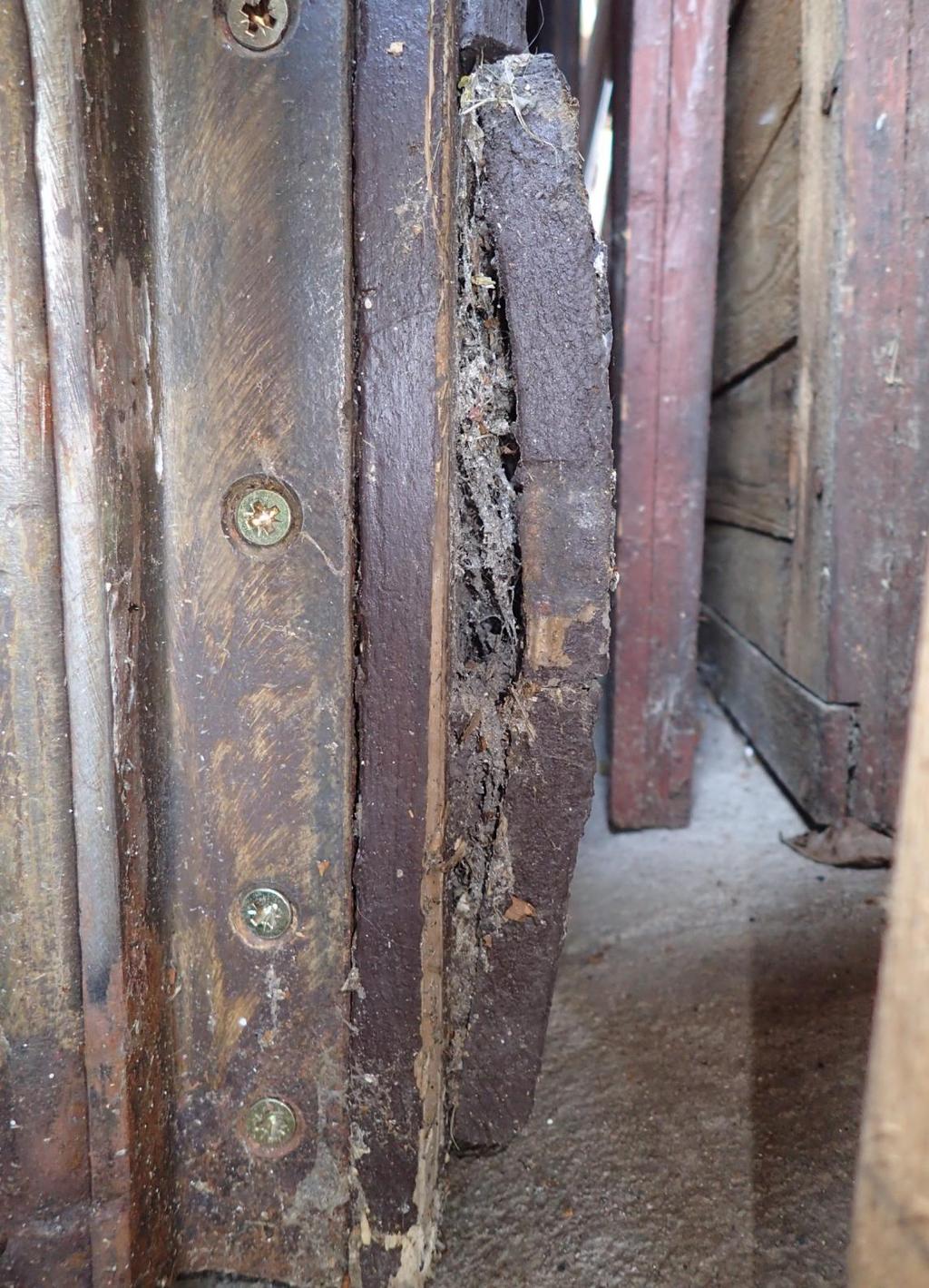 OBR. Č. 20 Hlavní dveře - stav v době průzkumu detail poškození vnější strana. Na snímcích je vidět narušená dřevní hmota a špatný stav okopových desek.
