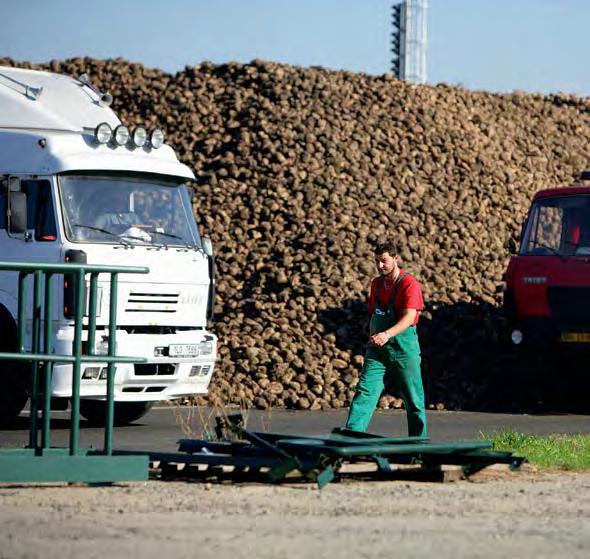 34 Euro 3 14. ledna 2013 report cukrovarnictví Pět let k dobru pro drahý cukr V Evropě kvasí dohady o budoucnosti cukerních kvót.
