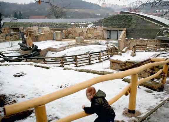 56 Euro 3 14. ledna 2013 light české zoo & byznys 1» dění návštěvníkům bylo úplně někde jinde, vysvětluje ředitel Zoo Ostrava Petr Čolas.