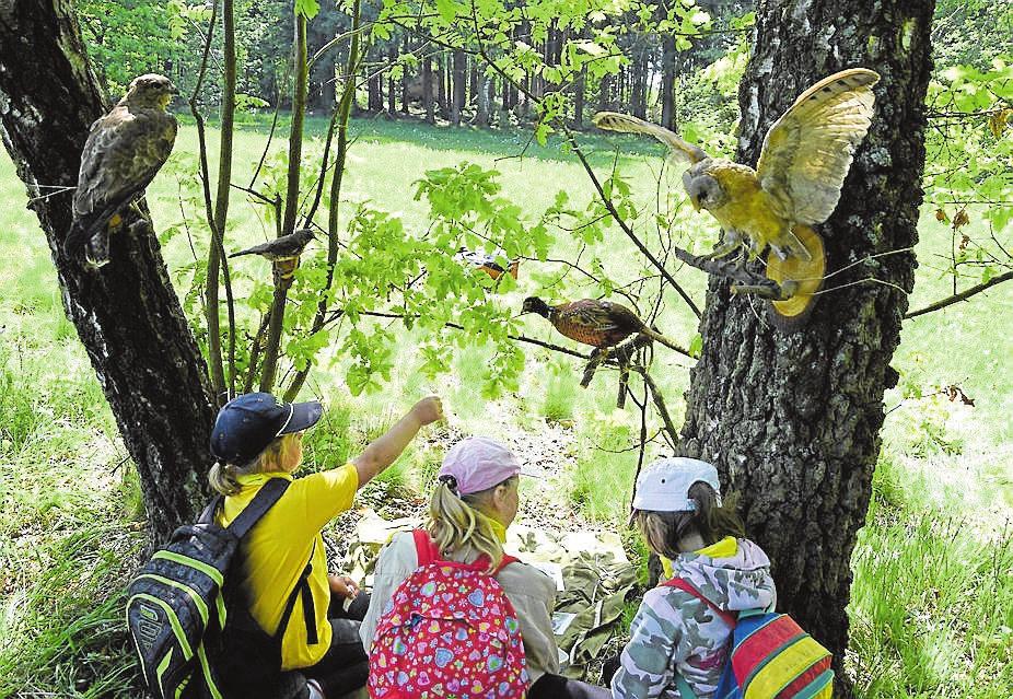 červen 2018 Hlinecké noviny 7 Asterix a Obelix aneb okresní kolo závodu vlčat a světlušek K příležitosti stého výročí založení skautingu v Hlinsku se místní skautské středisko Skála přihlásilo k