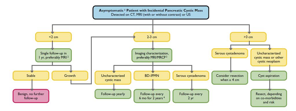 Co dělat s náhodně zjištěnou cystickou lézí? (2012 consensus guidelines : Tanaka et al) Sahani et al.