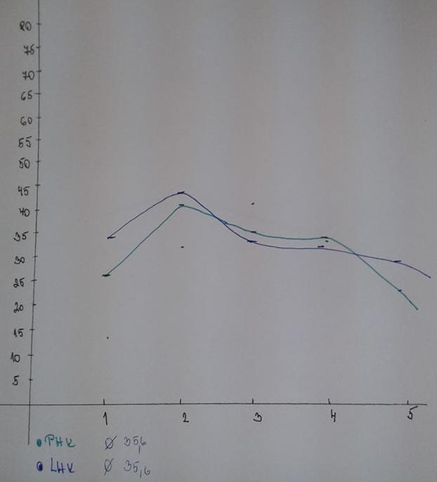 vlastní Příloha 7- ukázka testu IWS