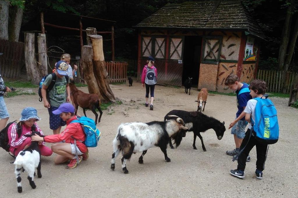 (Babeta Kolářová) Na školní výlet jsme jeli vlakem, tramvají a lanovkou.