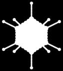 Viry Obrázek 4: Ikozahedrální kapsida adenovirus (zdroj: URL 4) Obrázek 5: Helikální kapsida (zdroj: URL 5, upraveno) 1.2.2.1. Neobalené viry U řady virů reprezentuje nukleokapsida kompletní virion.