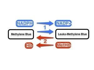 = methylthionine chloride Methylenová modř kofaktor NADPH MetHb-reduktázy Indikace k podání: asymptomatičtí nad 30%