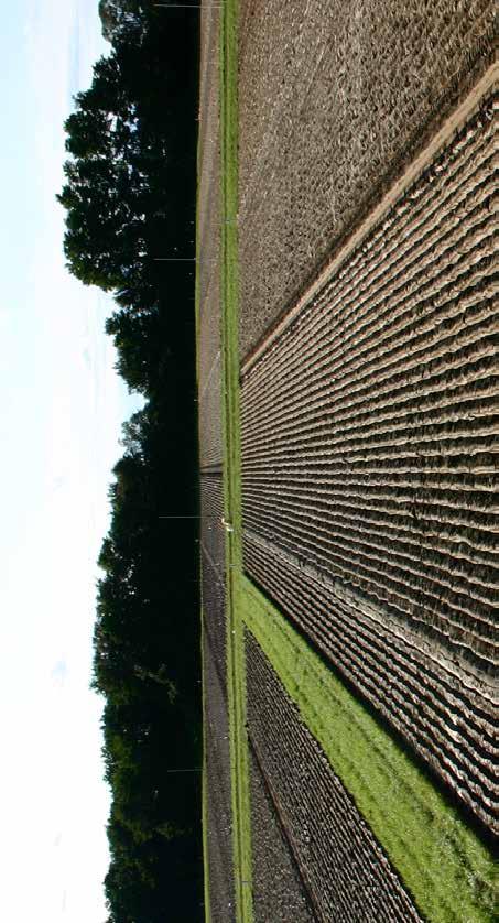 KAMENICE NAD LIPOU AGRÁRNÍ KOMORA KRAJE VYSOČINA ZD
