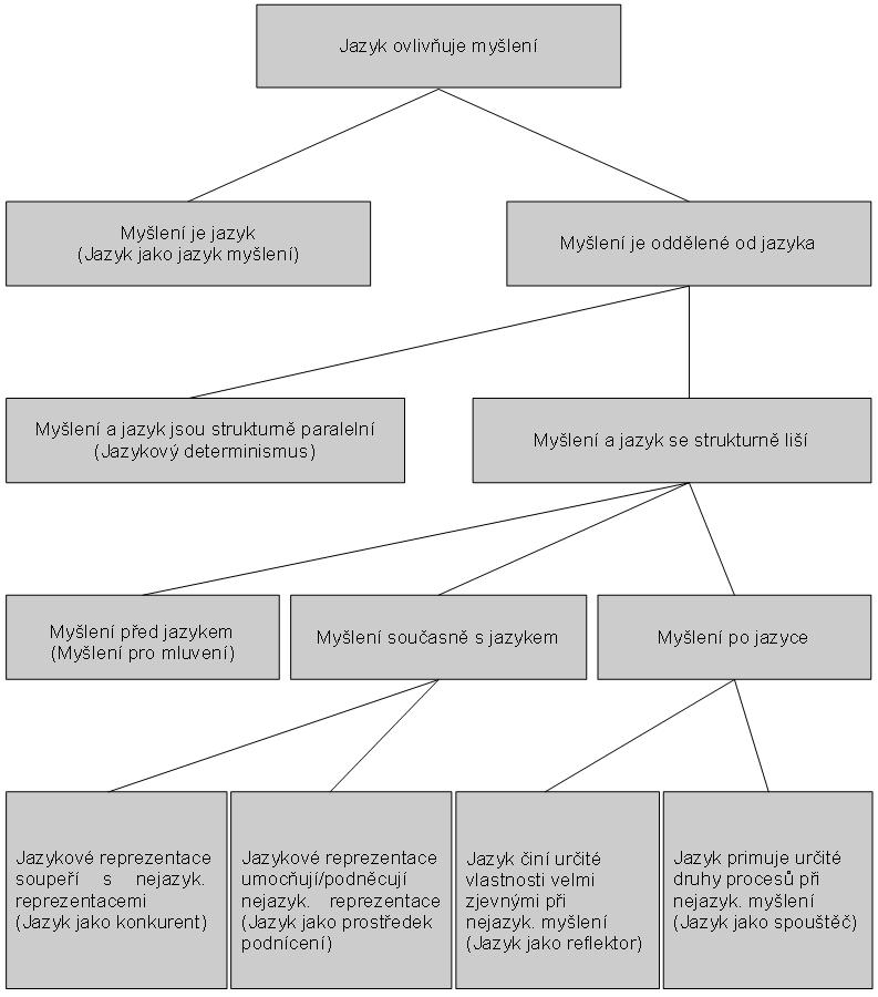 Schéma 1: Kategorie a podkategorie různých hypotéz možného vlivu jazyka na myšlení (Schéma převzato z: Wolff Holmes, 2010, s.