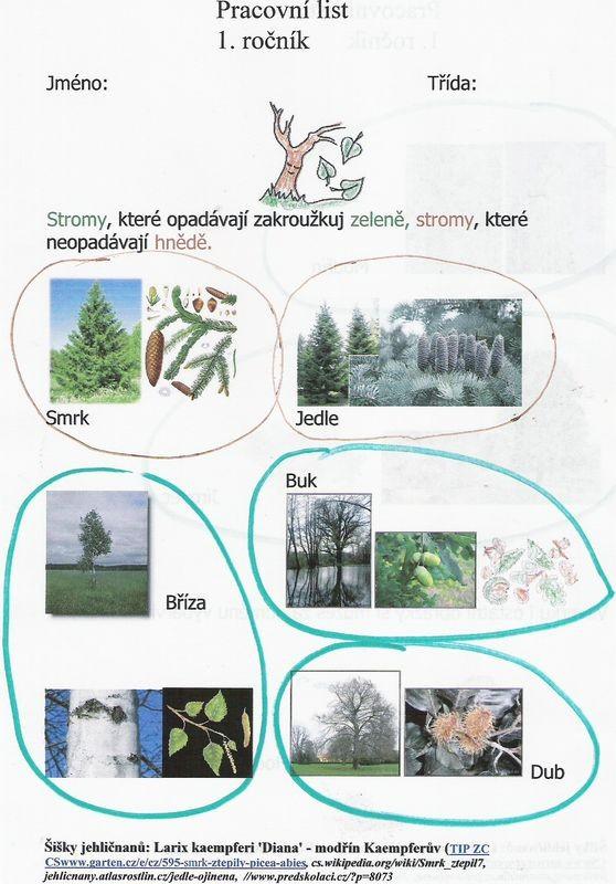 Literatura: 1, MARKOVÁ, Z.: Hry a nápady pro školáčky Podzim. Vyd. Grada Publishing, a.s., 2005. ISBN 80-247-0543-5 2, MEZERA, A.: Naše stromy a keře. vyd.