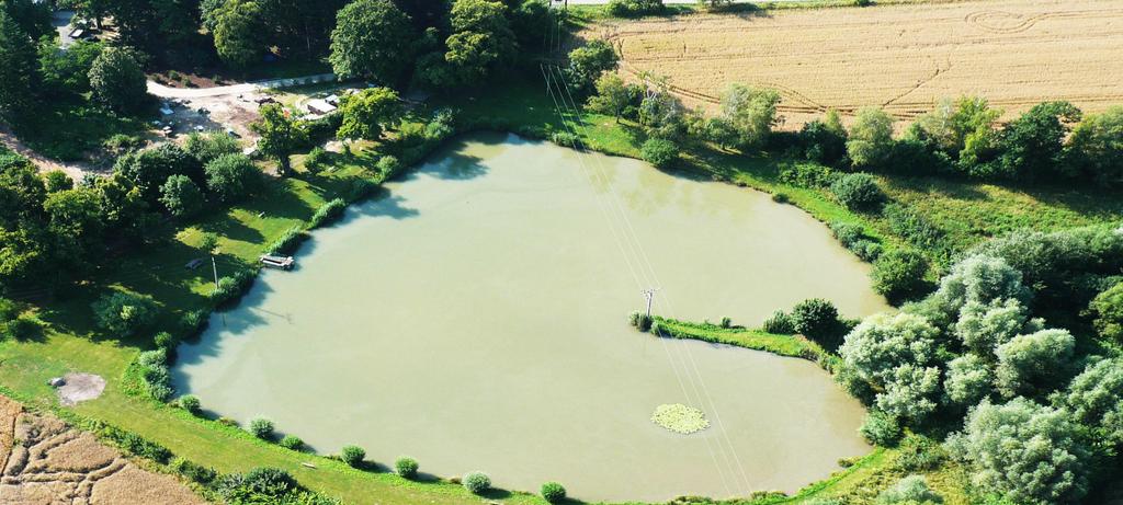 02 Výsadba biocenter Lesnická technika výsadby. Při tomto způsobu výsadby je počítáno se strojovou výsadbou do jamek nebo rýh modelovými počty sazenic na 1 ha ve skupinové směsi.