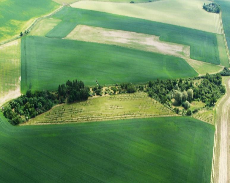 02 Zahradnická technika výsadby ŽP 1 v k. ú. Sovenice v okrese Nymburk na parcele KN č.