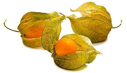 KRYPTOXANTIN- produkce žluté barvivo Physalis peruviana přeměňuje se na vitamín A v přírodě se běžně nachází v kukuřici, měsíčku lékařském, mangu, pomerančích,