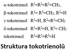 Struktura 8 biologicky aktivních látek Tokoferoly (alfa, beta, gama, delta)