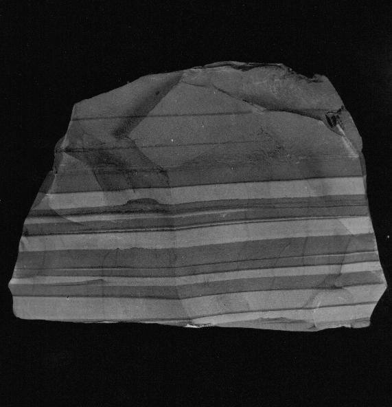 Výskyty sedimentárních železných rud v železnobrodském krystaliniku ve dvou stratigrafických horizontech (Pošmourný 19