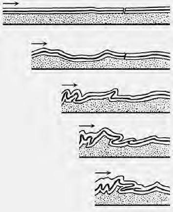 Kettnera, 1956) Před vyvrásněním hercynid se tedy na místě dnešních Krušných hor nacházela mořská pánev plná sedimentů, kde u jejího jižního okraje probíhala hranice vůči již relativně stabilnímu