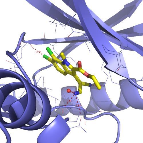 vazba CLK1 Chemistry