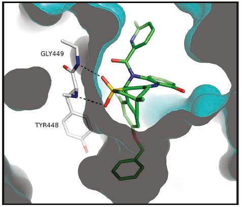 NS5B polymerasový inhibitor