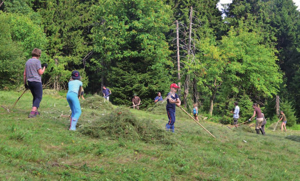 739 181 683, pschneider@centrum.cz. Sekání luk v PR Bukovec, na Václavíkově Studánce a Bílém Potoce s ubytováním na Jizerce Pátek 28. července neděle 30.