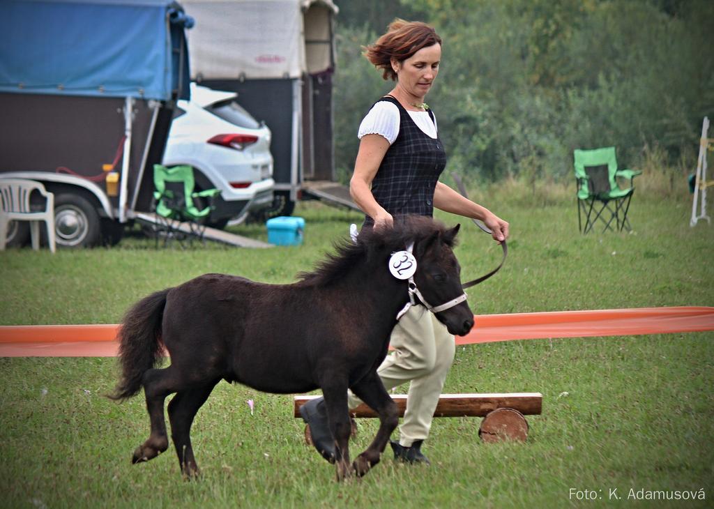 Je veliká škoda, že se před výstavou odhlásili další 4 IC, jelikož jsme přesvědčeni, že