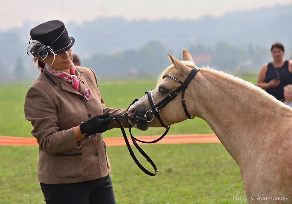 Reserve supreme šampionem se stal velš pony sekce C valach Vazan Leonardo.