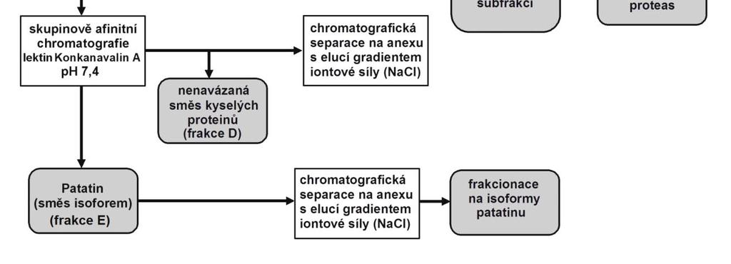 polyakrylamidovém gelu v přítomnosti dodecylsíranu sodného (SDS)) byl použit systém vertikální elektroforézy Hoefer SE 600 (Hoefer, USA).