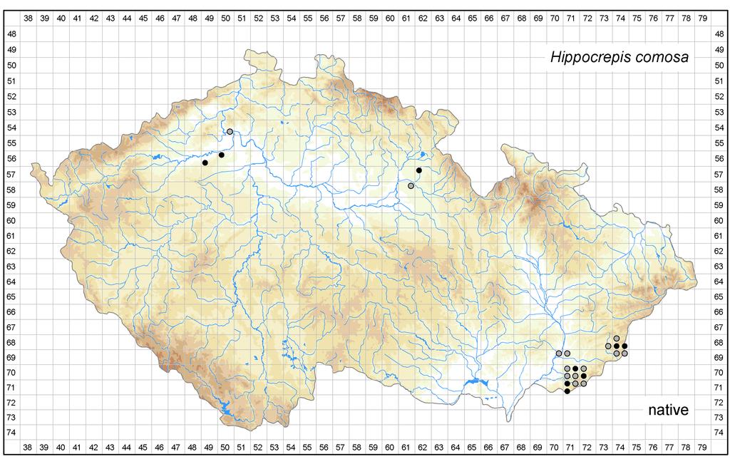 Distribution of Hippocrepis comosa in the Czech Republic Author of the map: Zdeněk Kaplan Map produced on: 06-02-2018 Database records used for producing the distribution map of Hippocrepis comosa