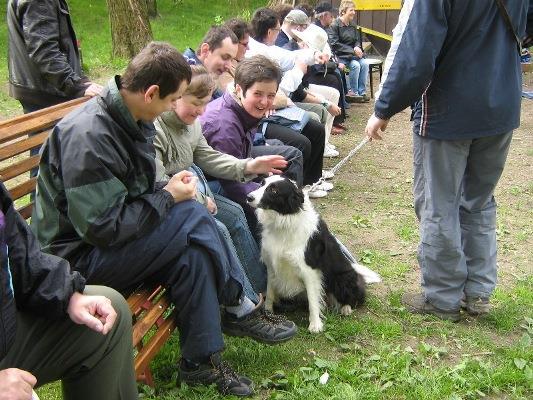 Jana Rybičky Křehkost kovu v Galerii