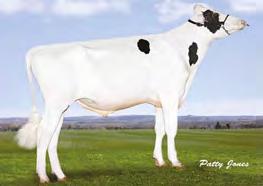 MORNINGVIEW MAINTOP NEO-510 LET IT SNOW x FREDDIE x SHOTTLE VELTHUIS LET IT SNOW MORNINGVIEW FREDDIE MIMI 02-09 305 12 664 4.4% 560 3.