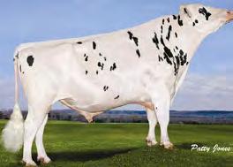 MAINSTREAM MANIFOLD NEA-960 O MAN x BW MARSHALL x EMORY» stálice v naší nabídce Stád 10887» dobrá produkce mléka při Dcer 70688 Mléko +649 vysokých složkách 99 %» vysoký NETMERIT, výborné PTAT 0.