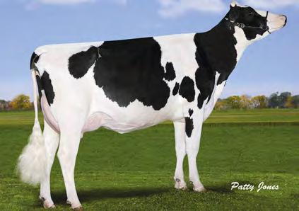 5% 665 3.3% 627 kg FLEVO GENETICS SNOWMAN GEN-I-BEQ BOLTON SECRETLY 02-01 305 11 954 4.4% 521 3.4% 400 kg Celoživotně: 24 979 4.3% 1 085 3.4% 836 kg Exteriér Stád: 79 Dcer: 102 R %: 86 0.