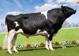 ALL.NURE SOCIETY SEAGULL-BAY SUPERSIRE ALL.NURE BAXTER SERENELLA 02-00 305 14 922 3.2% 483 2.