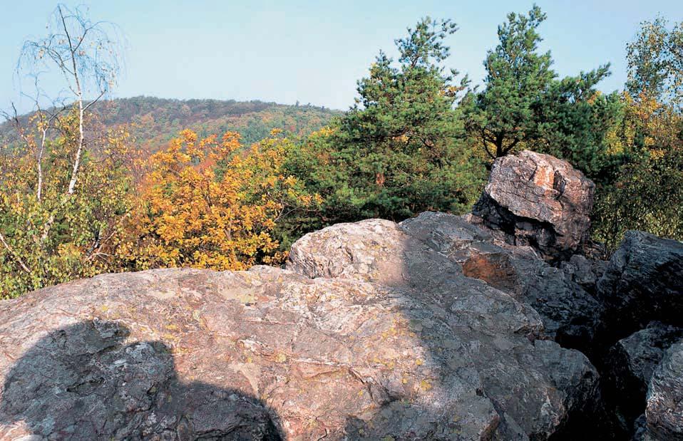 0-45 pro_uzemi_m.4.008 :59 Stránka 4 Brnûnsko GEOLOGIE Kvûtnice má sloïitou geologickou stavbu postiïenou zlomy.