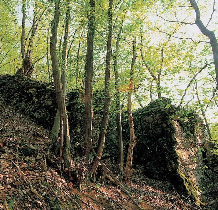 0-45 pro_uzemi_m.4.008 4:0 Stránka 40 Brnûnsko GEOLOGIE PodloÏí tvofií devonské lí eàské souvrství, obsahující vápence hádsko-fiíãské a kfitinské s pfiechodem do bazálních klastik.