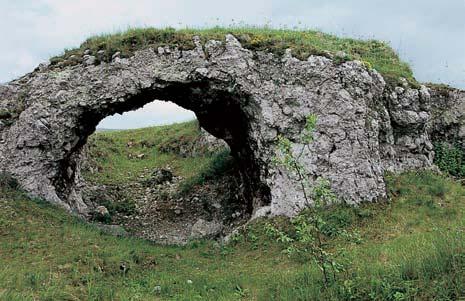 (Saxifraga tridactylites), tafiinka horská (Alyssum montanum), rozrazil rozprostfien (Veronica prostrata), svízel siv (Galium glaucum) nebo mochna píseãná (Potentilla arenaria).
