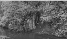 viride, Cystopteris fragilis). S1.2 Štěrbinová vegetace silikátových skal a drolin: skalní srázy a balvanové rozpady v údolích, droliny vulkanických kopců, vzácněji také opuštěné lomy a staré zdi.