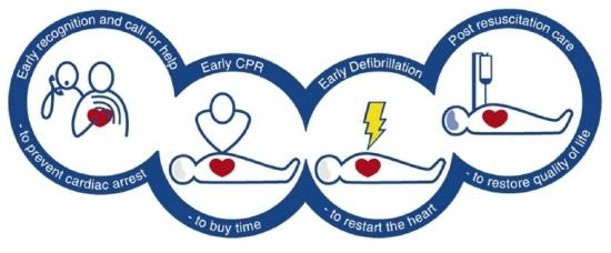 3. Časná defibrilace. 4. Časná poresuscitační péče (Klementa a kol., 20