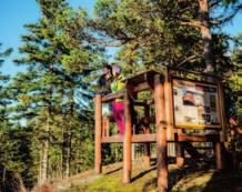woodland park.