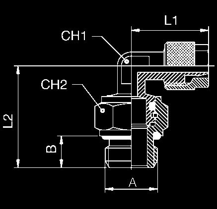 0 16 25 1100 15/12.5-1/2 15/12.5 1/2 14.0 31.5 28.0 16 25 1110 Koleno kompresní šroubení x vnější kuželový závit Objednací číslo Hadička B L1 L2 CH1 CH2 Balení 1110 4/2.7-1/8 4/2.7 1/8 7.5 18.5 22.