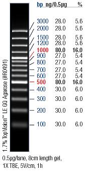 100 s UV transluminátorem. V případě správné amplifikace byl detekován jeden výrazný proužek odpovídající délce studovaného úseku DNA. PCR produkt jsem skladoval v lednici a následující den přečistil.