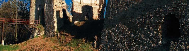 ZřÍCENINY