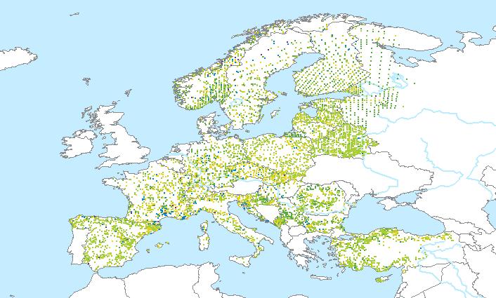 Hlavní monitorované parametry: defoliace barevné změny v koruně pozorovatelná poškození v koruně podpůrné parametry (stáří porostu, typ stanoviště