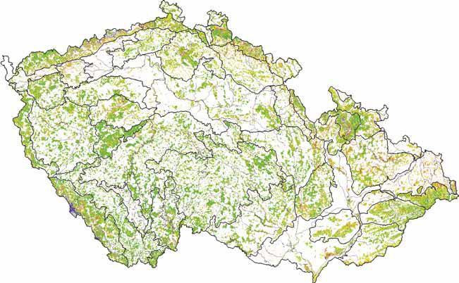 HODNOCENÍ STAVU LESA ZE SNÍMKŮ LANDSAT-TM Metoda klasifikace zdravotního stavu lesů z kosmických snímků má samozřejmě své aplikační podmínky a omezení.