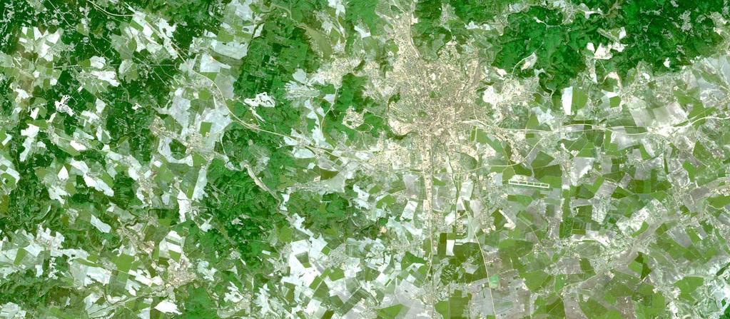 HODNOCENÍ STAVU LESA ZE SNÍMKŮ LANDSAT-TM Průměrné stupně poškození a mortality v letech 1984 2010. Zdroj STOKLASA Tech.