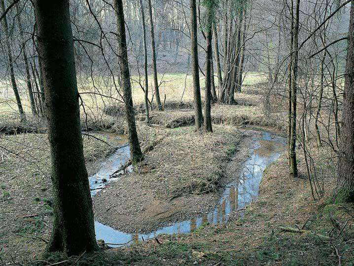 n. m. V mûra: 4,4 ha Vyhlá eno: 00 Soubor vodních a luãních ekosystémû s v skytem v znamn ch a zvlá tû chránûn ch druhû rostlin a ÏivoãichÛ, pfiedev ím populace stfievle potoãní (Phoxinus phoxinus).