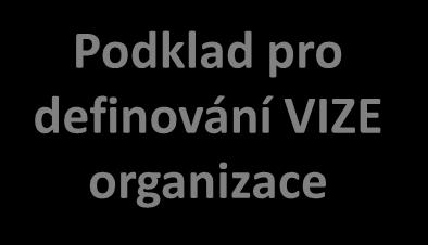 organizace Vnější analýza Silné stránky