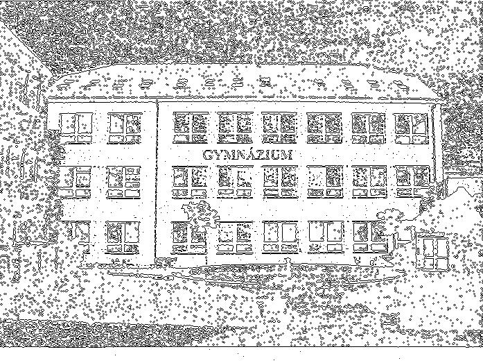 Gymnázium, Velké Pavlovice, Pod Školou 10, příspěvková organizace Výroční zpráva o hospodaření v roce 2008