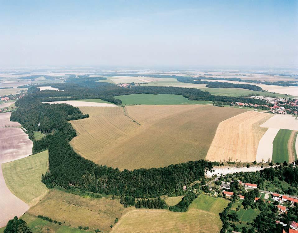 Pardubicko Pfiírodní rezervace Stfiemo ická stráà Opuková stráà mezi obcemi Stfiemo ice a epníky.